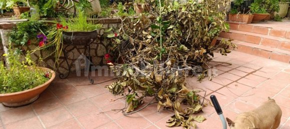 3 bedrooms Apartment in Naples, Italy No. 16780 21