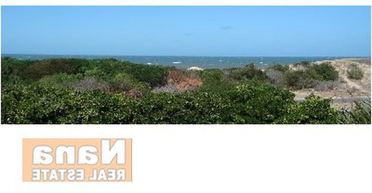 6 غرف نوم شقة في Maldonado, Uruguay رقم 269