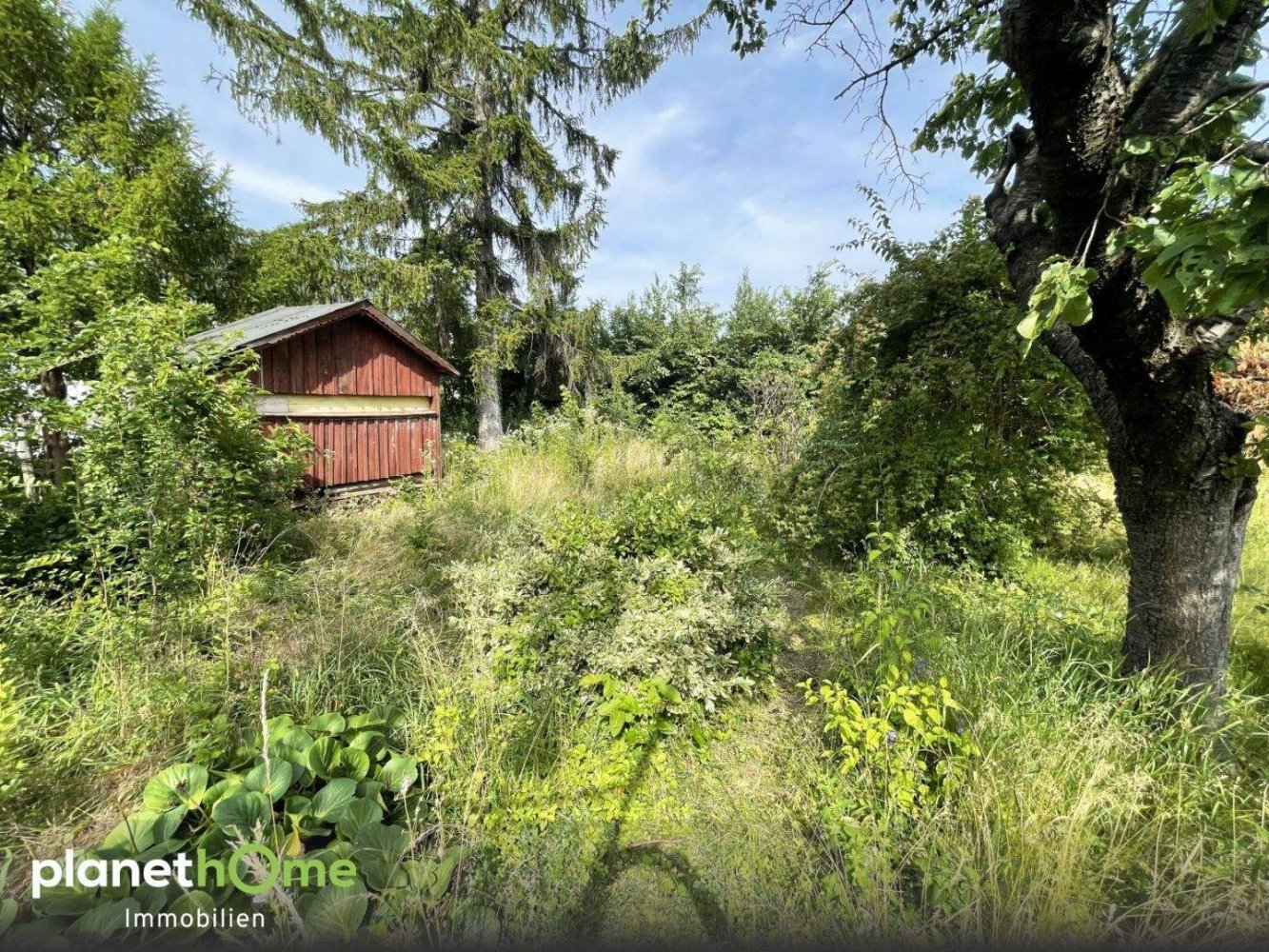  Land in Perchtoldsdorf, Austria No. 150726