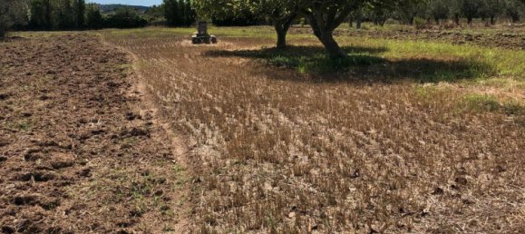 Terrain à Karlsruhe, Germany No. 333209 17