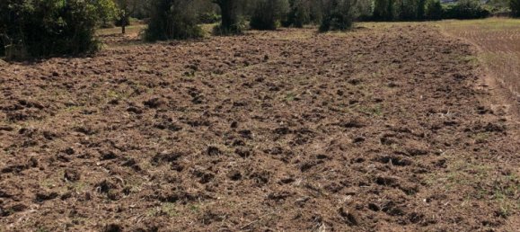 Terrain à Karlsruhe, Germany No. 333209 18