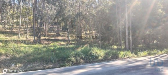 4368m² Land in Penafiel, Portugal No. 161982 13