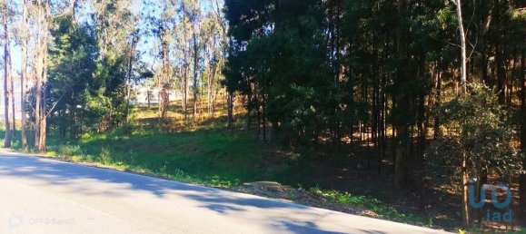 4368m² Land in Penafiel, Portugal No. 161982 9