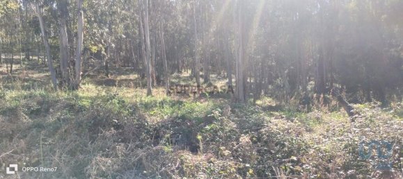 4368m² Land in Penafiel, Portugal No. 161982 14