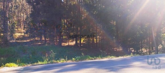 4368m² Land in Penafiel, Portugal No. 161982 16
