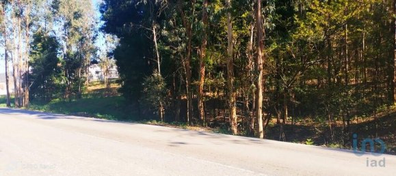 4368m² Land in Penafiel, Portugal No. 161982 12