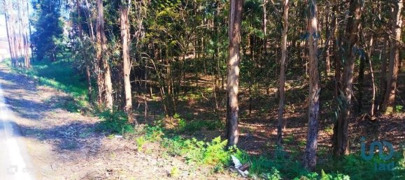 4368m² Land in Penafiel, Portugal No. 161982 10