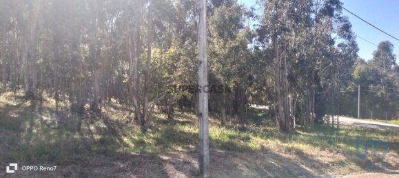 4368m² Land in Penafiel, Portugal No. 161982 6