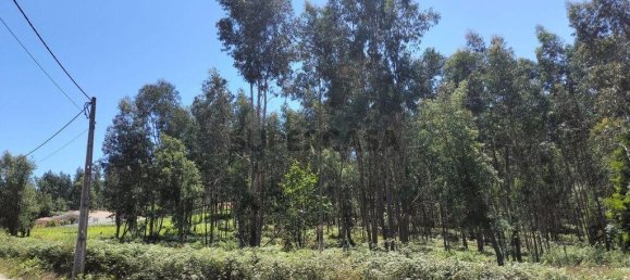 4368m² Land in Penafiel, Portugal No. 161982 22