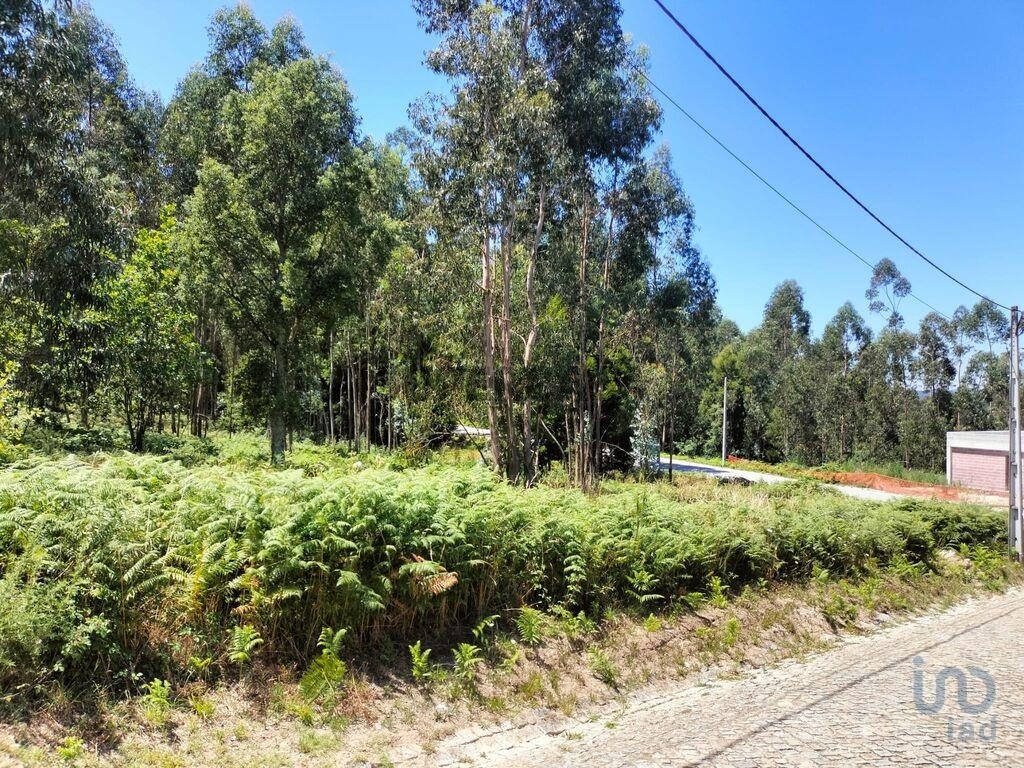 4368m² Land in Penafiel, Portugal No. 161982