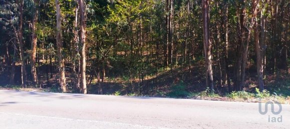 4368m² Land in Penafiel, Portugal No. 161982 24