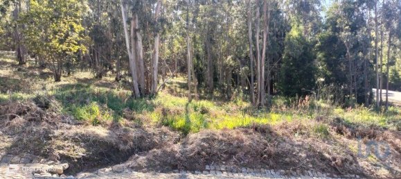 4368m² Land in Penafiel, Portugal No. 161982 7