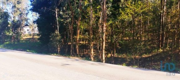 4368m² Land in Penafiel, Portugal No. 161982 20