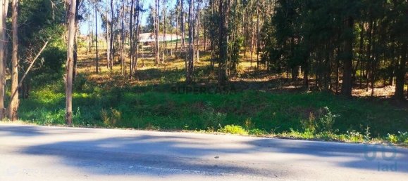 4368m² Land in Penafiel, Portugal No. 161982 17