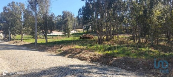 4368m² Land in Penafiel, Portugal No. 161982 21
