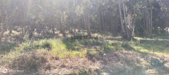 4368m² Land in Penafiel, Portugal No. 161982 5