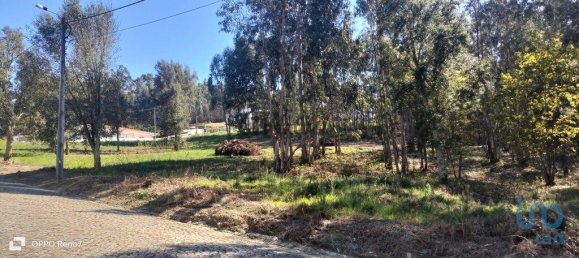 4368m² Land in Penafiel, Portugal No. 161982 2