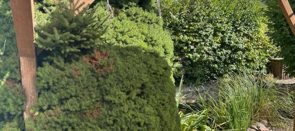 1 Schlafzimmer Stadthaus in Börde, Germany, Nr. 271890 2