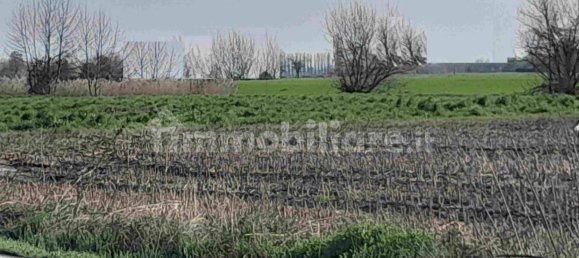 Grundstück in Gazzo Veronese, Italy 35687m², Nr. 193800 2