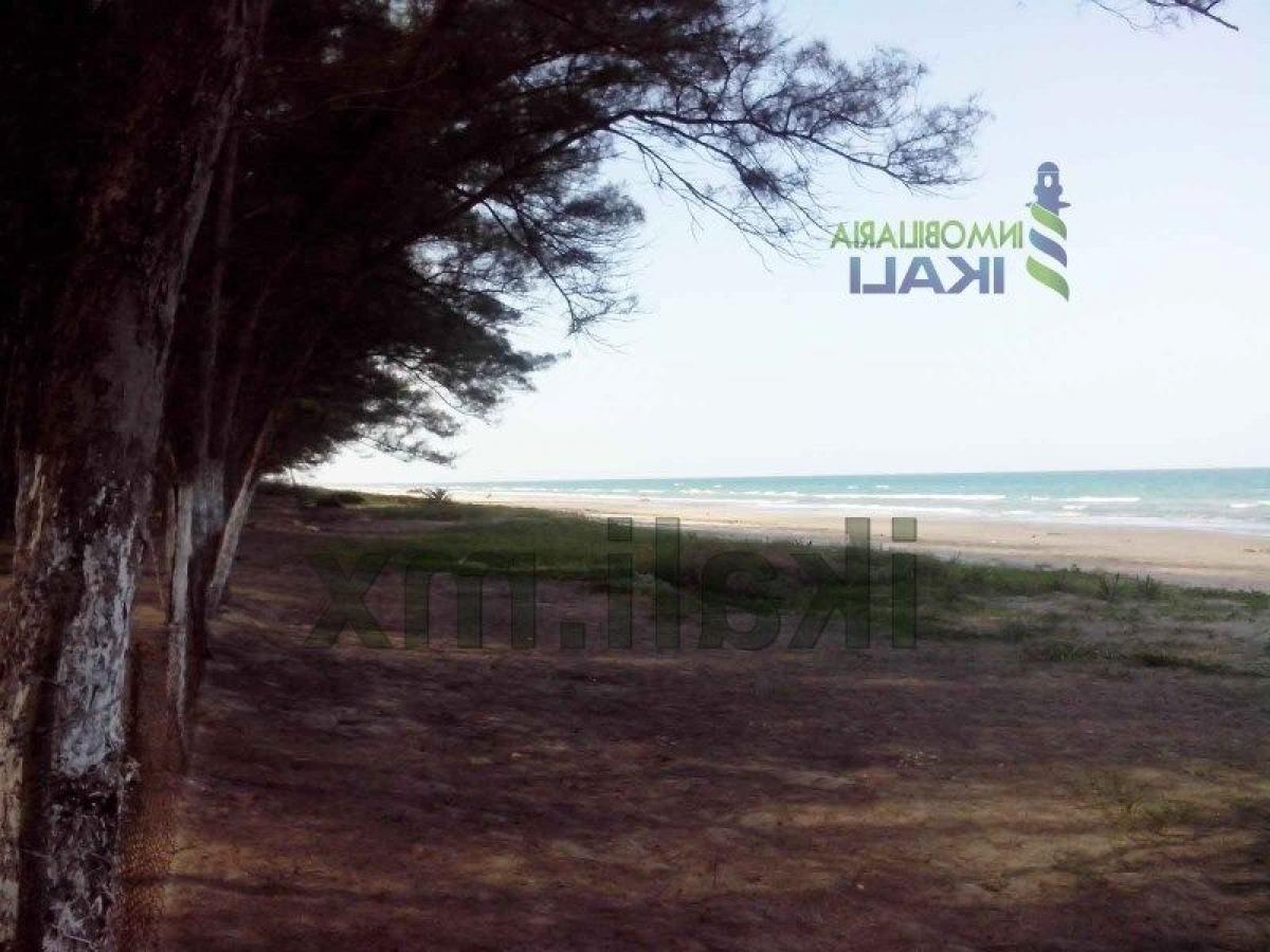 Terrain à Veracruz, Mexico No. 203185