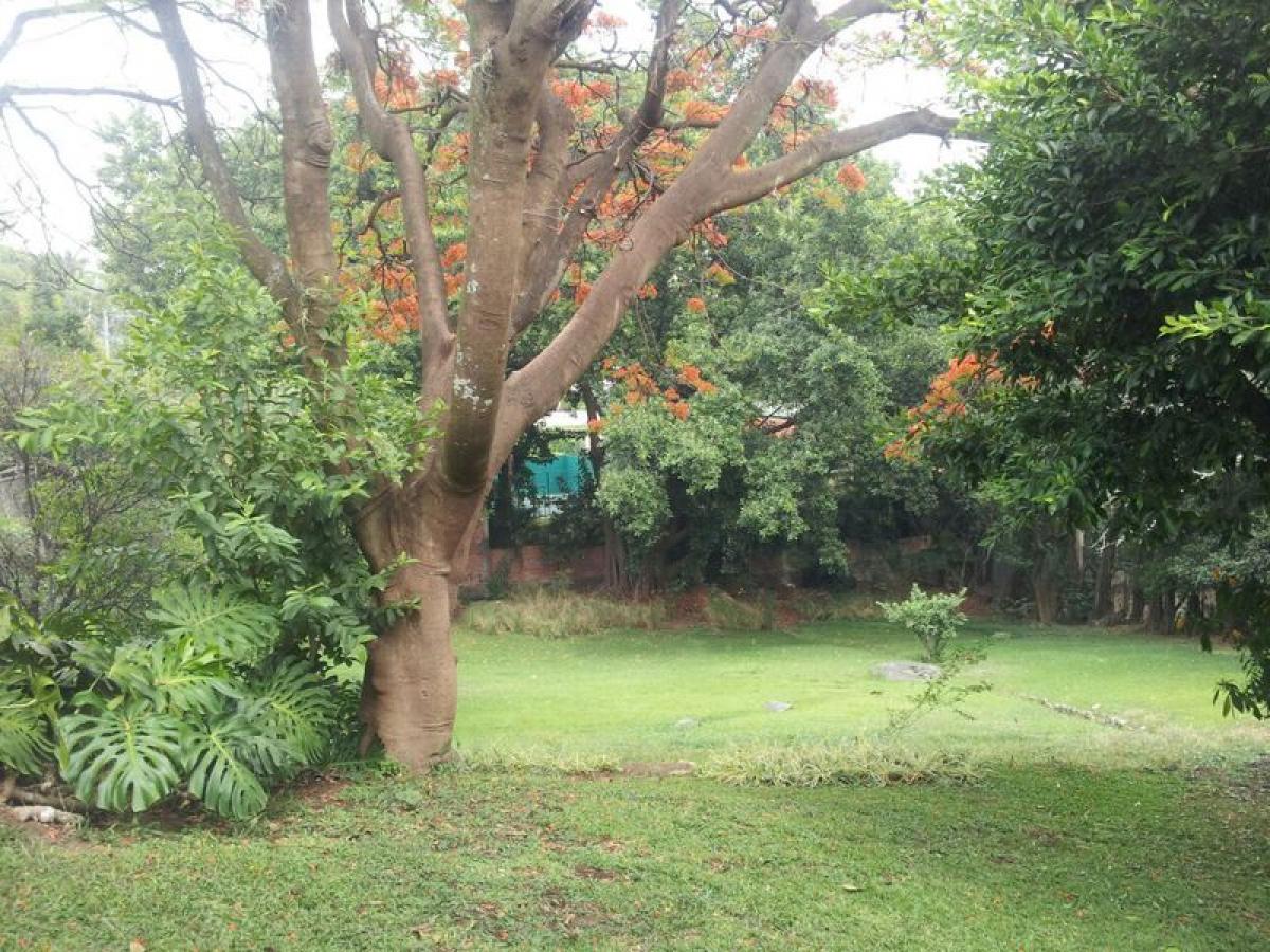 6 chambres Maison à Morelos, Mexico No. 156960