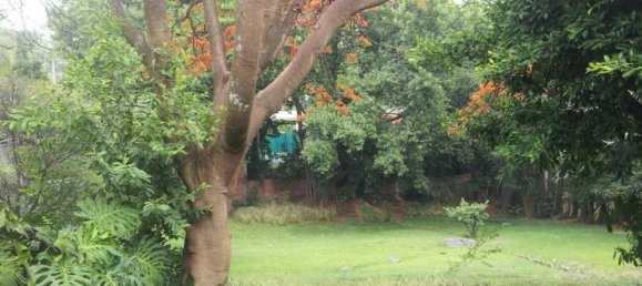 6 chambres Maison à Morelos, Mexico No. 156960 2