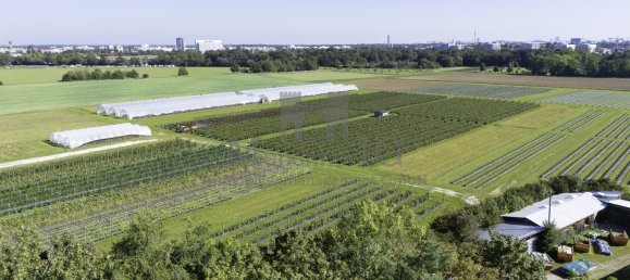 1 Schlafzimmer Wohnung in München, Germany, Nr. 188588 10