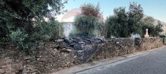 2440m² Land in Tomar, Portugal No. 71212 5