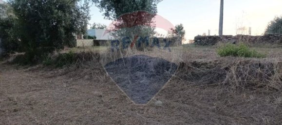 2440m² Land in Tomar, Portugal No. 71212 4