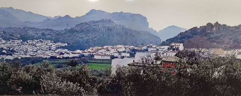 Apartamento de 2 dormitorios en Málaga, Spain No. 224847