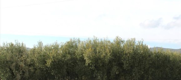 50000m² Hotel in Chalkidiki, Greece No. 8032 3