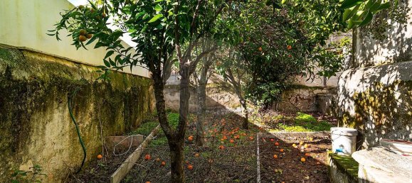 3 bedrooms House in Vila Vicosa, Portugal No. 165143 44