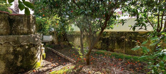 3 bedrooms House in Vila Vicosa, Portugal No. 165143 46