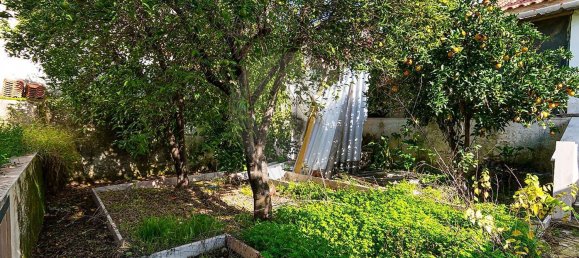 3 bedrooms House in Vila Vicosa, Portugal No. 165143 42