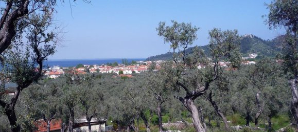 18250m² Hotel in Thasos, Greece No. 7923 3