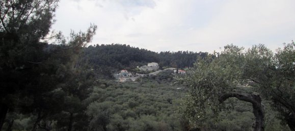 18250m² Hotel in Thasos, Greece No. 7923 5