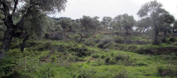 18250m² Hotel in Thasos, Greece No. 7923 4