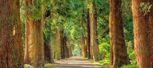 Casa T5 em A Coruna, Spain N.º 66483 40