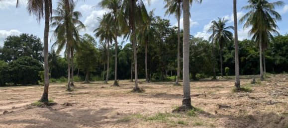  Commercial property in Bang Lamung, Thailand No. 94 11