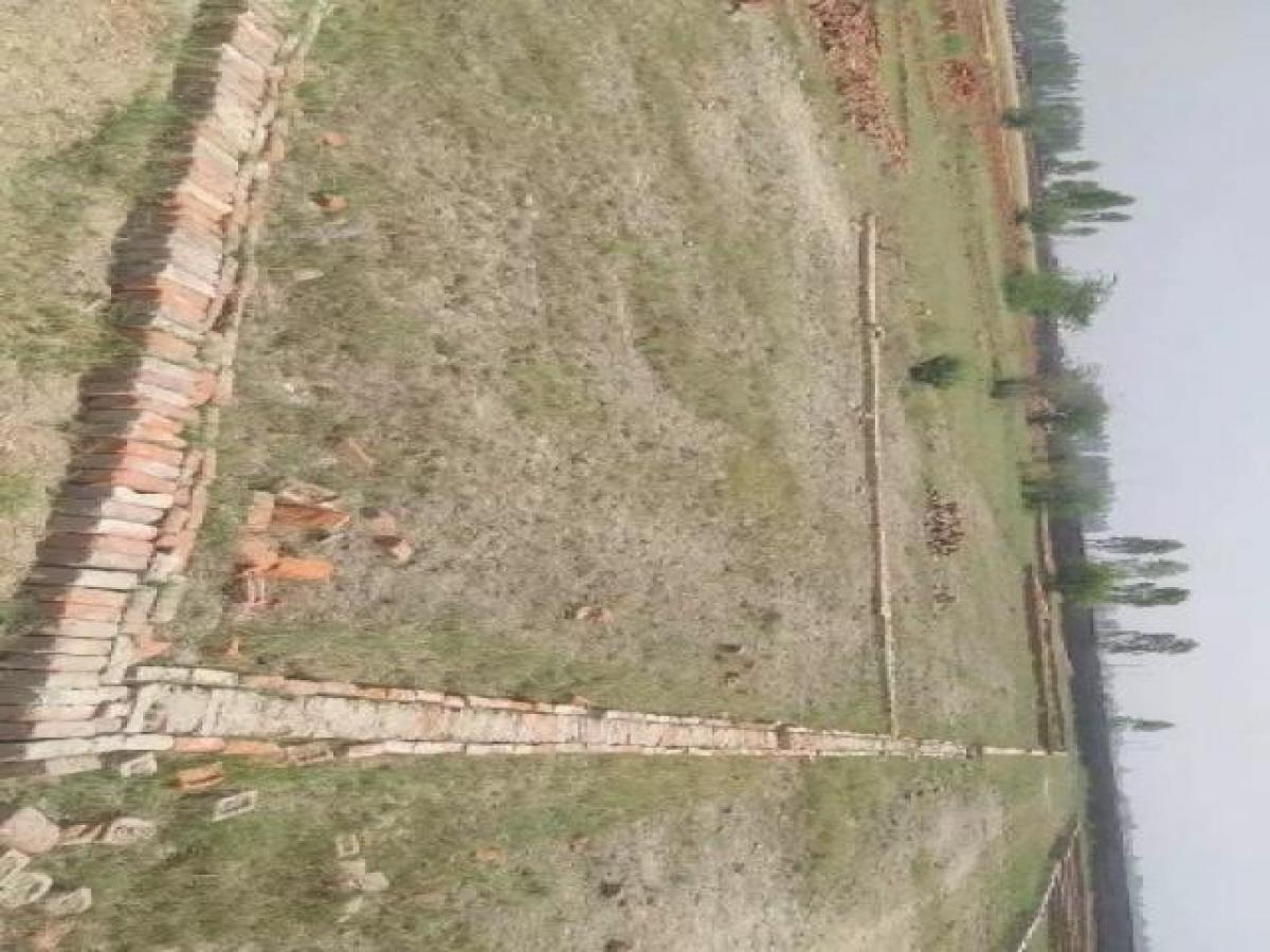 Terrain à Ghaziabad, India No. 31738