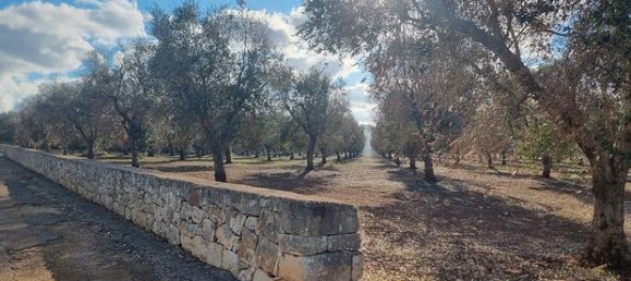 Terrain à San Vito dei Normanni, Italy 11027m² No. 281322 5