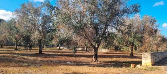 Terrain à San Vito dei Normanni, Italy 11027m² No. 281322 4