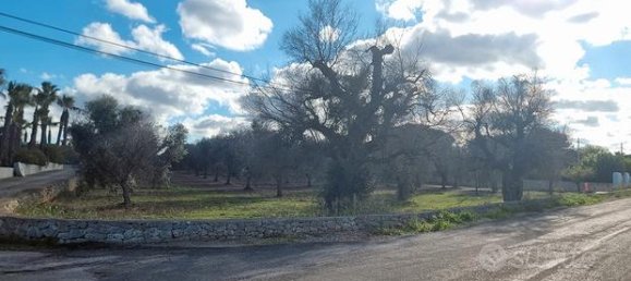 Terrain à San Vito dei Normanni, Italy 11027m² No. 281322 3