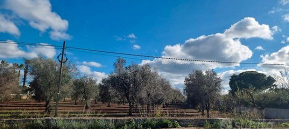 Terrain à San Vito dei Normanni, Italy 11027m² No. 281322 2