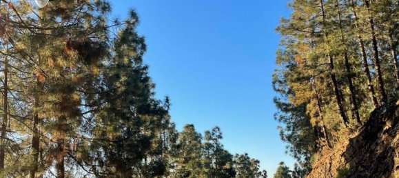 878m² Land in Puerto De La Torre, Spain No. 82911 7