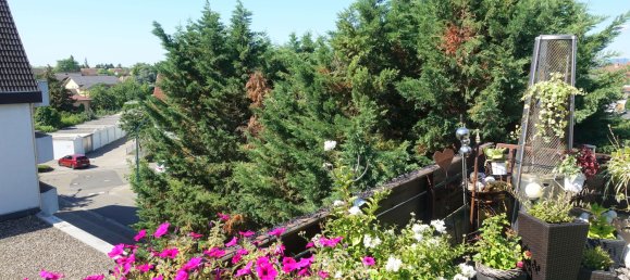 Дуплекс с 2 спальнями в Рейнланд-Пфальц, Германия № 142805 29