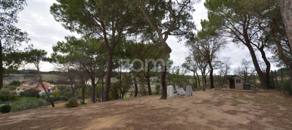 3 bedrooms House in Santarem, Portugal No. 103896 23