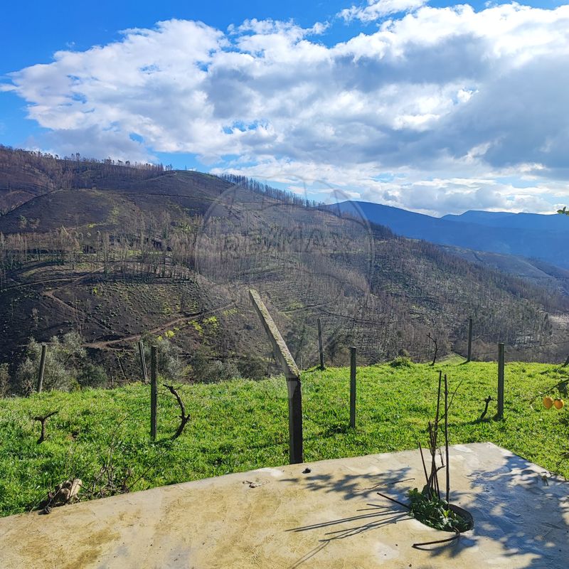 Дом с 6 спальнями в Кабрил, Португалия № 185519