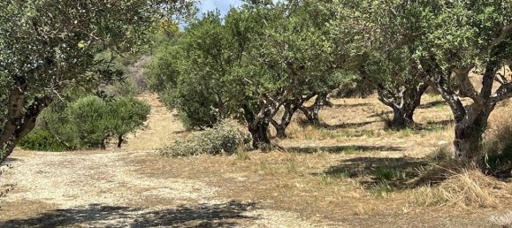  Hotel in Zakynthos, Greece No. 8628 24