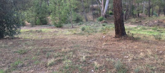 385m² Land in Abrantes, Portugal No. 62225 2